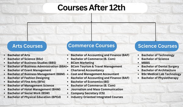 Courses After 12th 