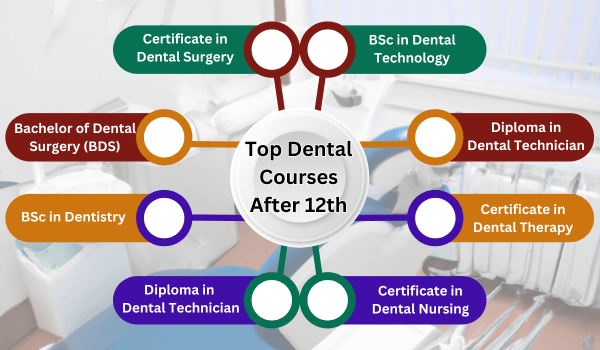 Dental Courses After 12th 
